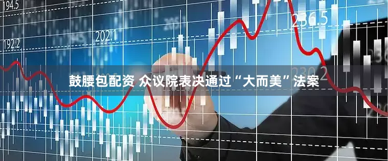鼓腰包配资 众议院表决通过“大而美”法案